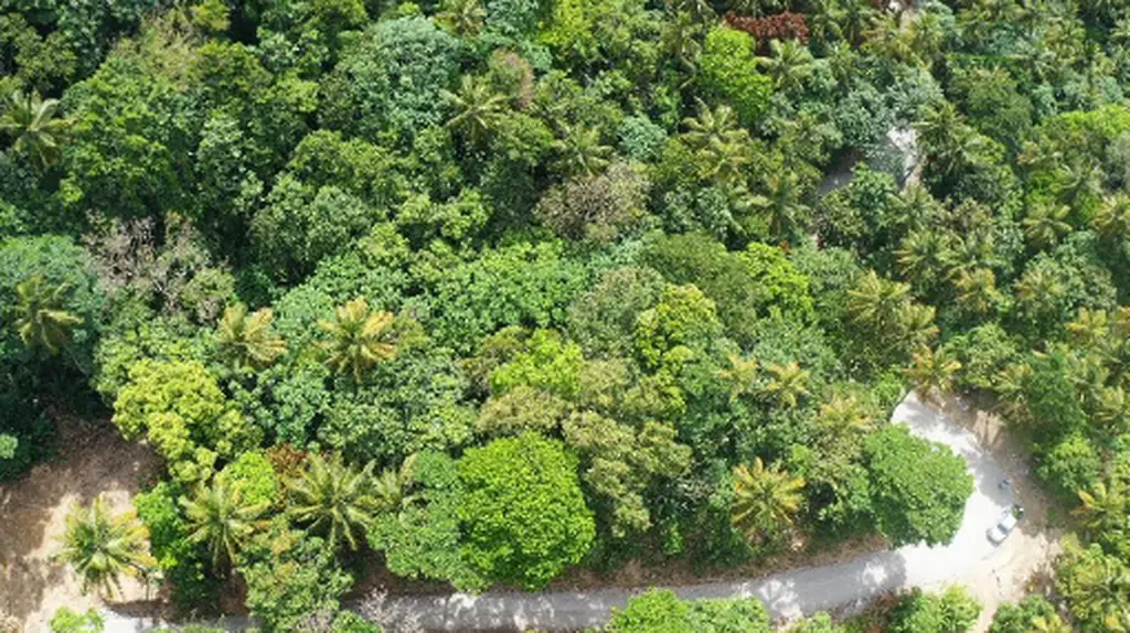 7.91 Acres Development Land For Sale in Soufrière, Saint Lucia
