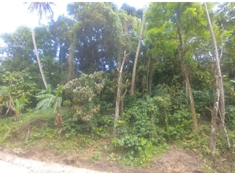 7.91 land for sale in soufriere st lucia real estate investment