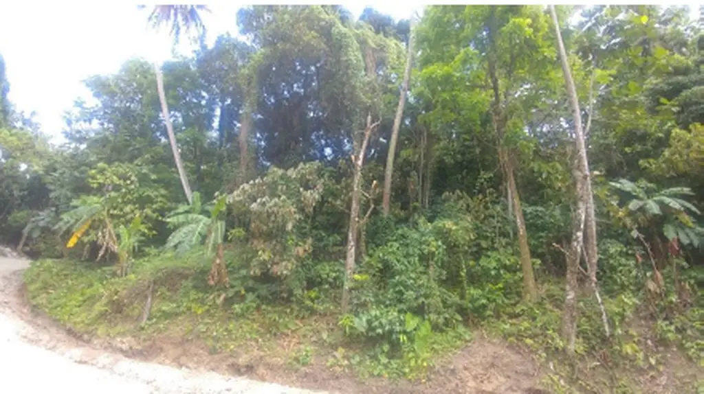 7.91 land for sale in soufriere st lucia real estate investment
