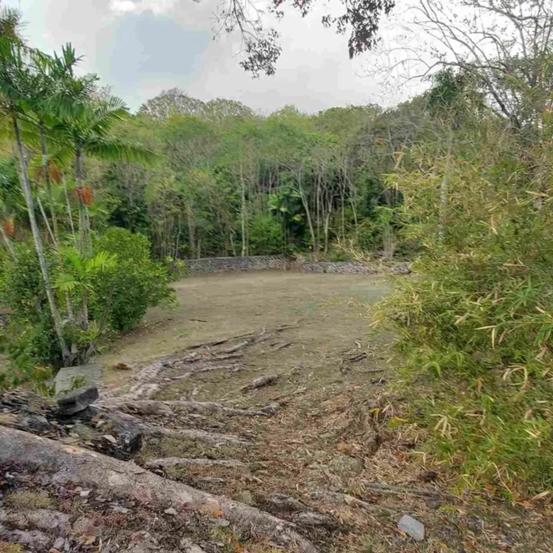st lucia real estate - land for sale in castries st lucia - the calvary