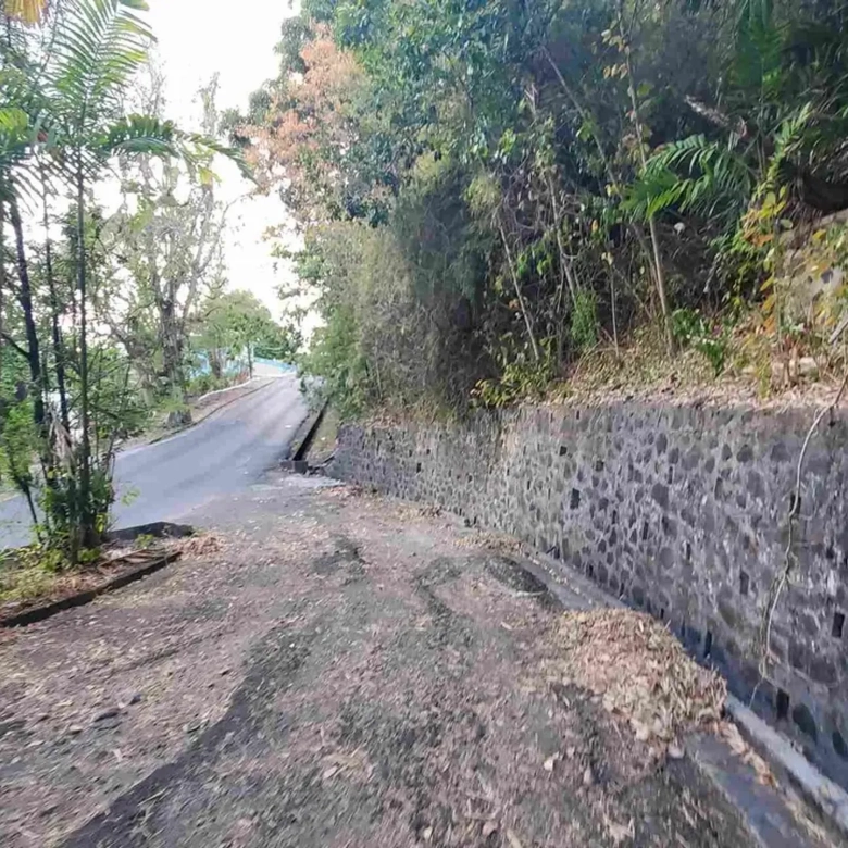 land for sale in castries st lucia calvry lots