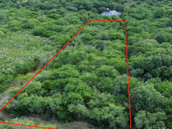 Prime 1-Acre Residential Land for Sale in St Lucia
