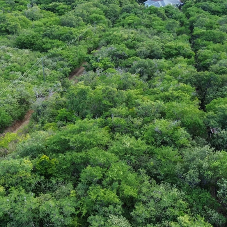 st lucia real estate Prime 1-Acre Residential Land for Sale in St Lucia aerial view