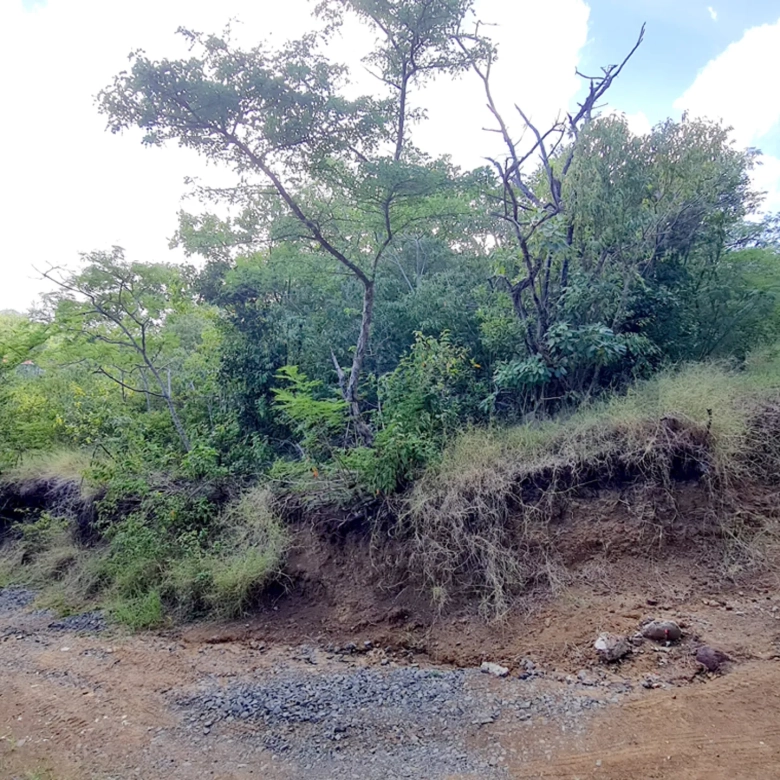 st lucia real estate Prime 1-Acre Residential Land for Sale in St Lucia corner lot