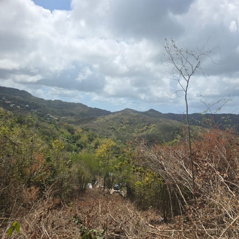 land for sale in monchy st lucia