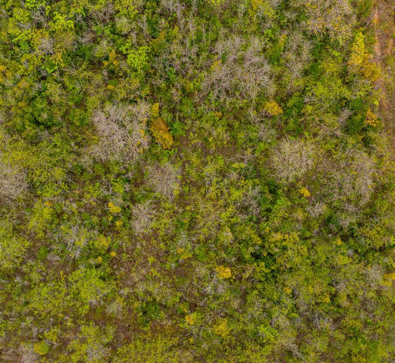 st lucia real estate Prime Residential Land for Sale in Bella Rosa aerial view