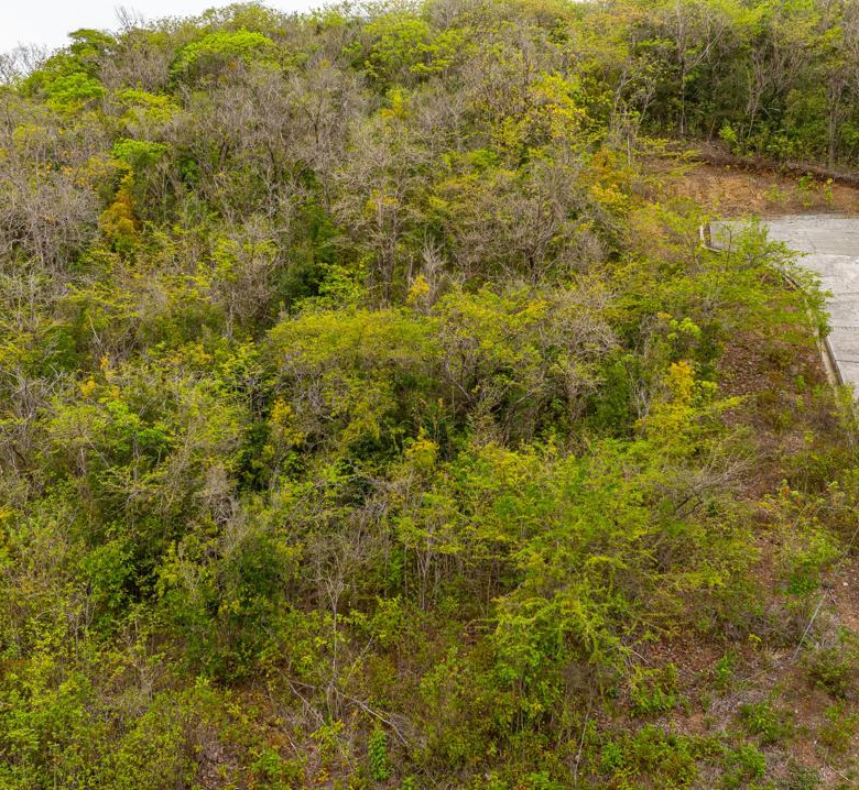 st lucia real estate Prime Residential Land for Sale in Bella Rosa access road