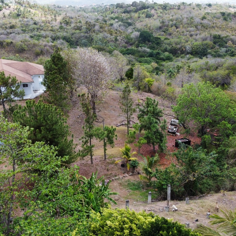 Land for Sale in Desruisseaux Micoud