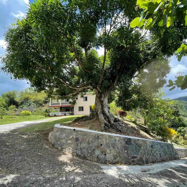 GARDEN TERRACE VILLA