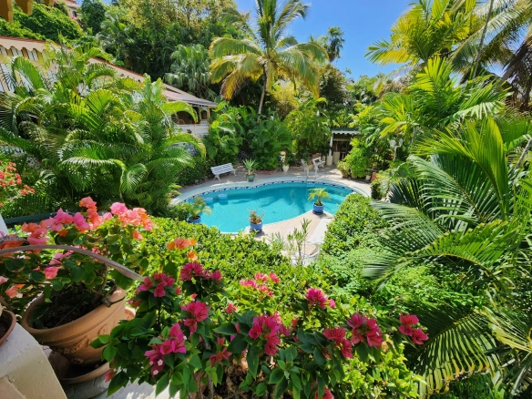 Palm Garden Villa