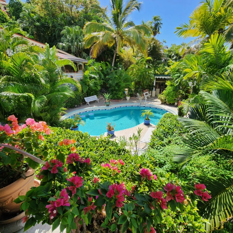 Palm Garden Villa