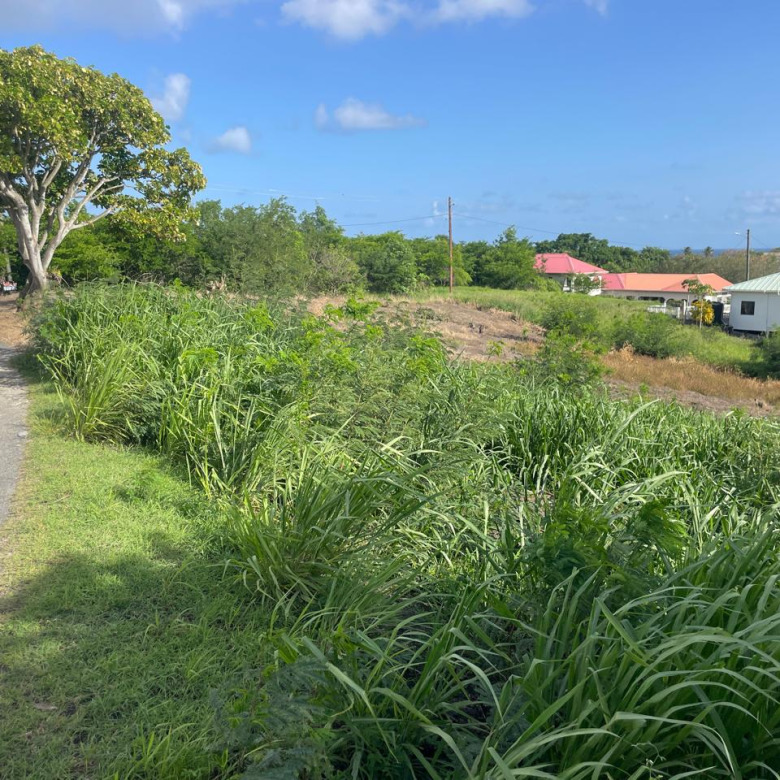Residential Land for Sale – Sapphire, Laborie, St. Lucia