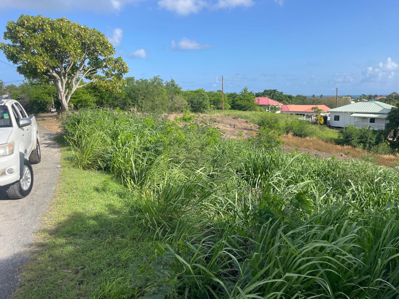 Residential Land for Sale – Sapphire, Laborie, St. Lucia