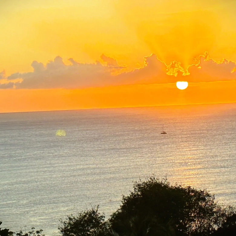 sell your property with Realty St Lucia