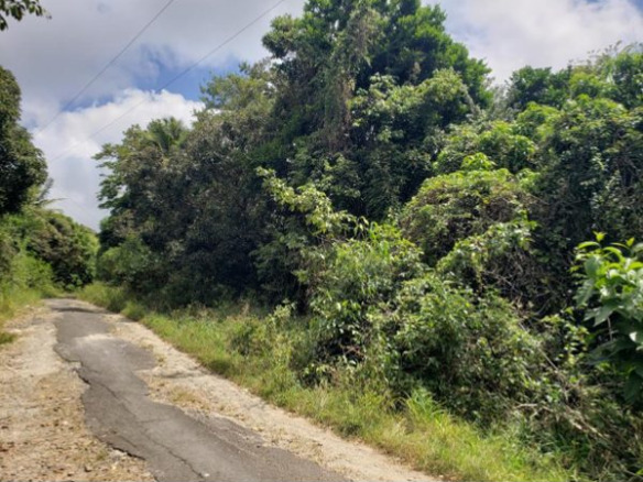 lland for sale Augier Vieux Fort
