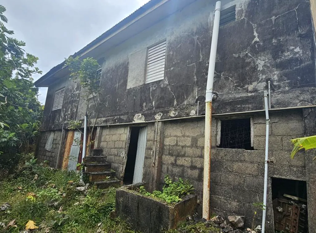 screenshot-2026-05-20-134525-web house for sale in choiseul st lucia real estate