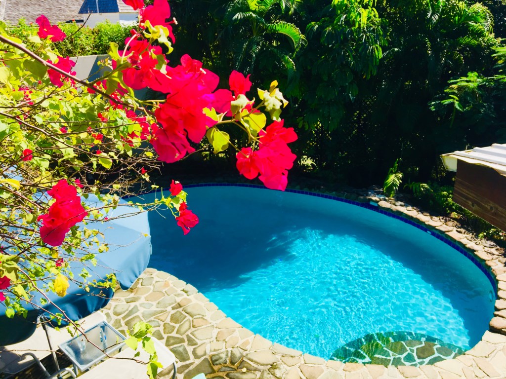 Hummingbird Villa