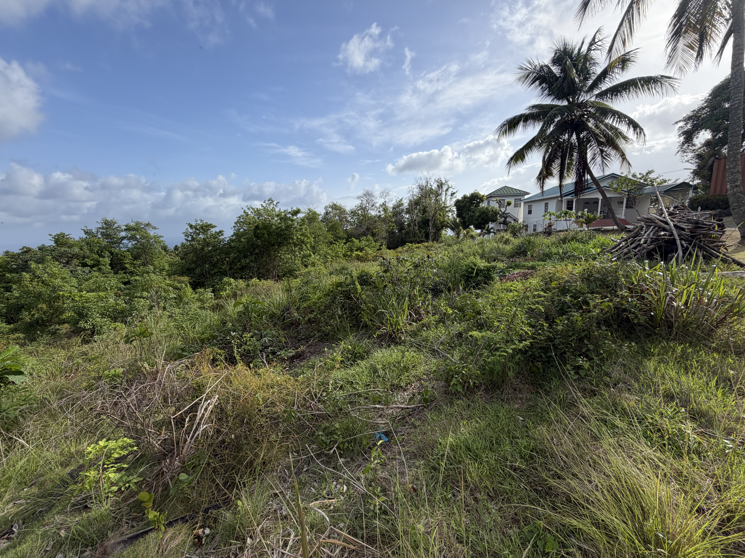 IMG_9236 Caffiere, Choiseul – Phase 1 Land Development