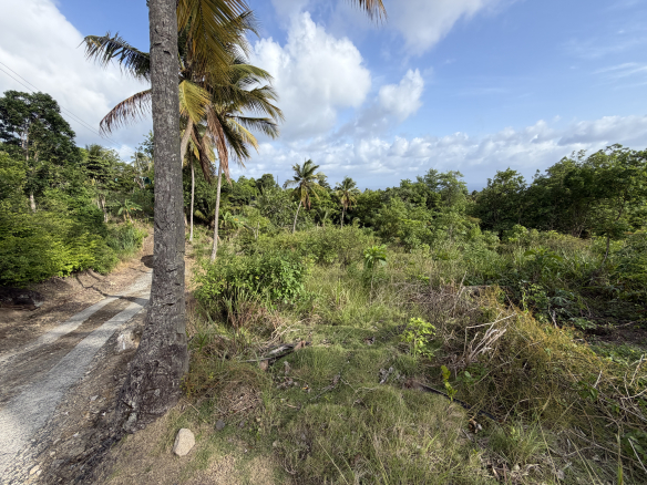 Caffiere Choiseul Land for Sale | Sea View Lots in Saint Lucia