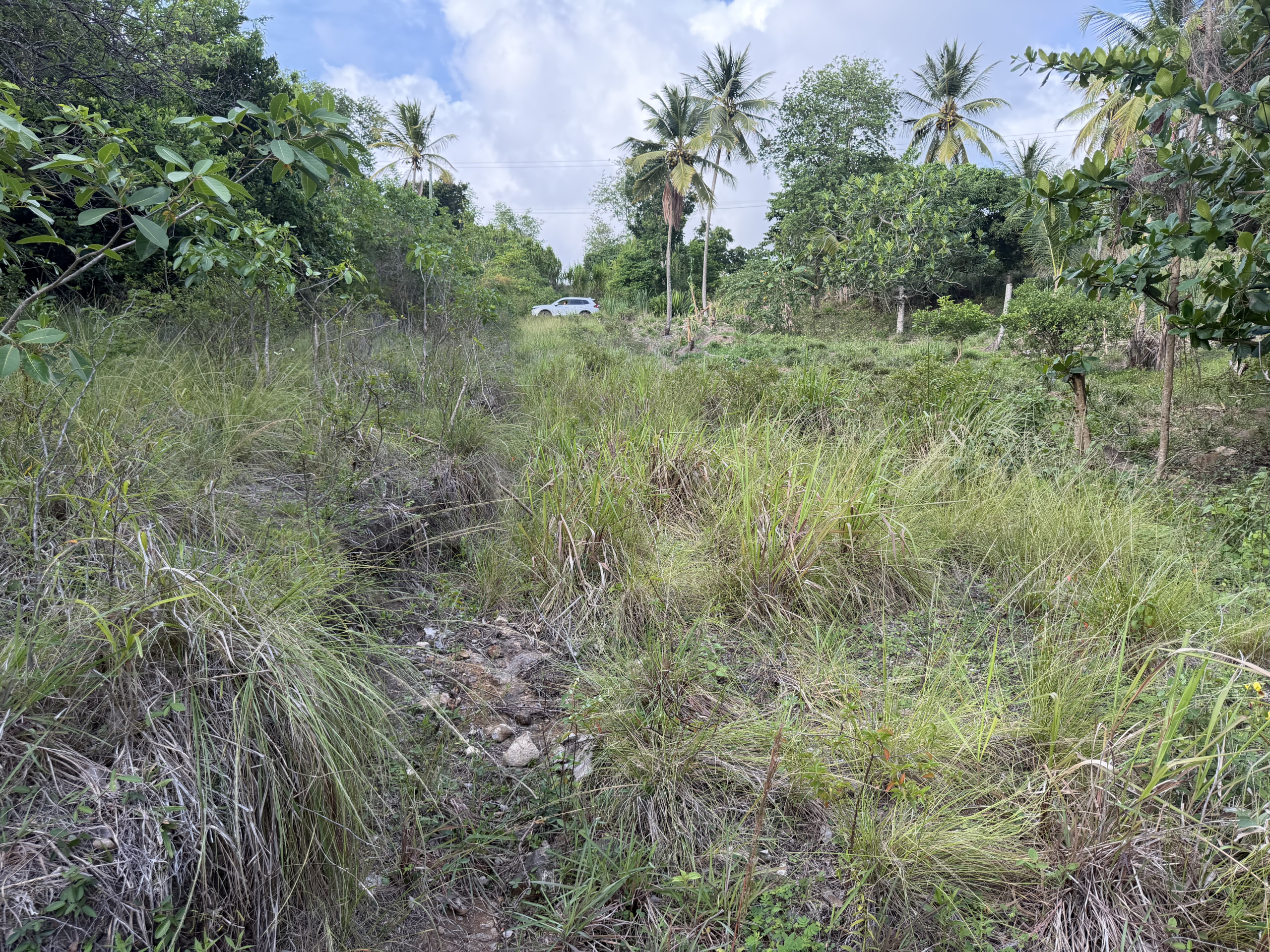 IMG_9241 Caffiere, Choiseul – Phase 1 Land Development