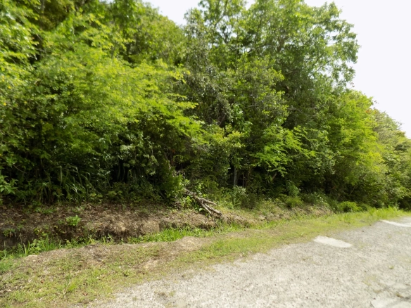 Marigot Bay Land No 179