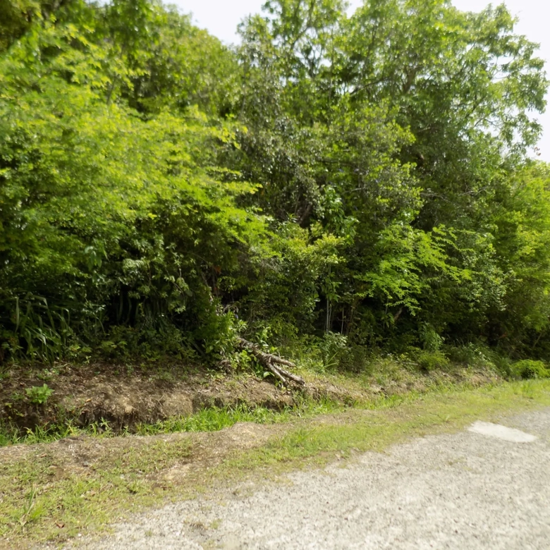 Marigot Bay Land No 179