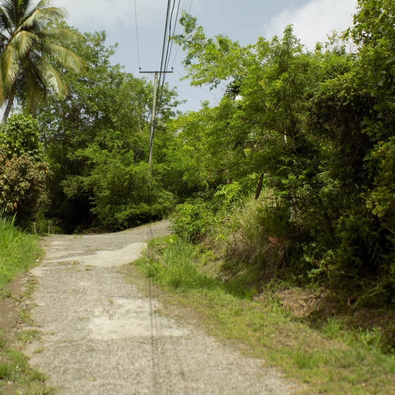Marigot Bay Land No 179