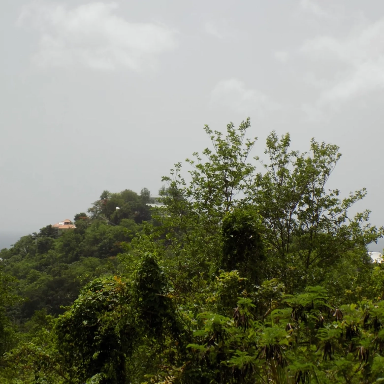 Marigot Bay Land No 179