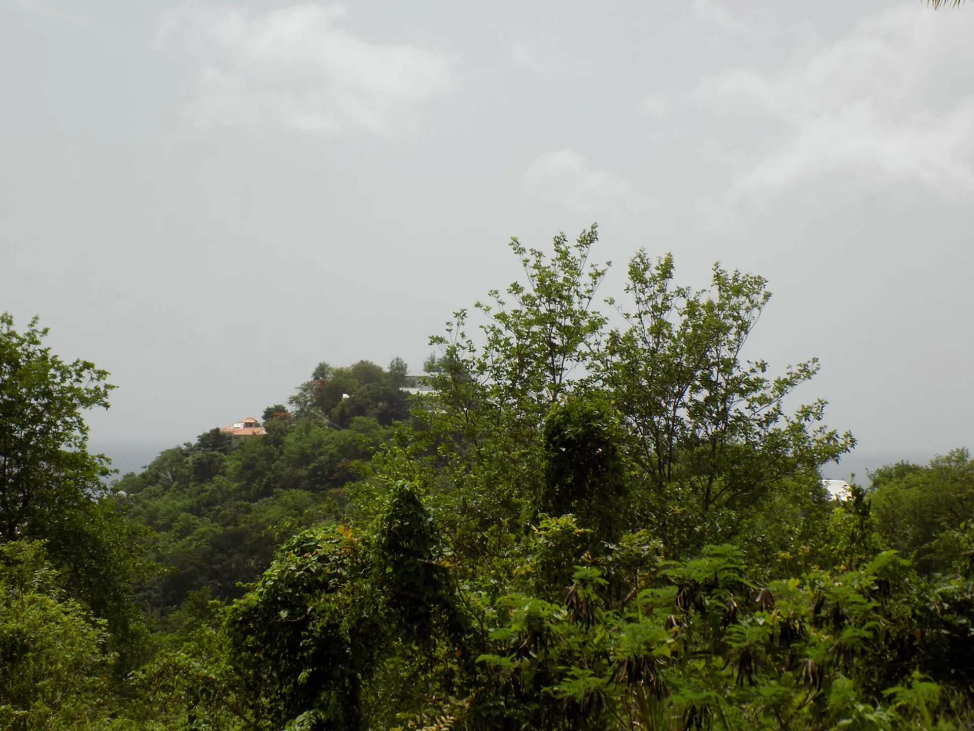 Marigot Bay Land No 179