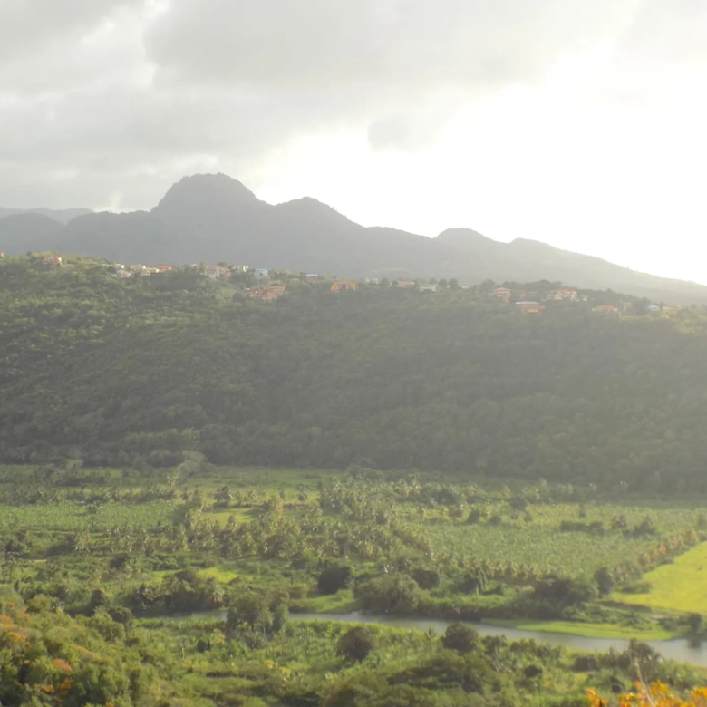 Marigot Bay Luxury Villa for Sale | Saint Lucia Real Estate