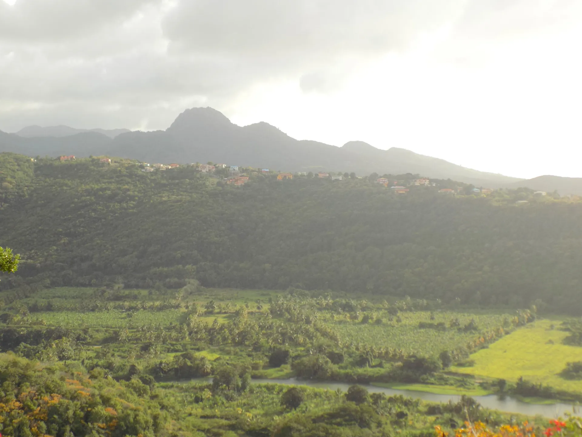 Marigot Bay Luxury Villa for Sale | Saint Lucia Real Estate