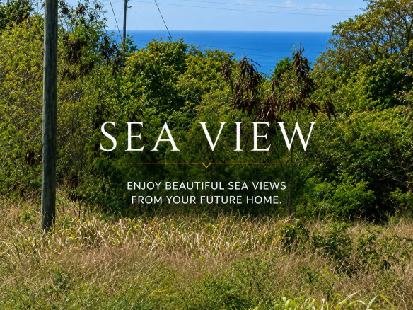 Sea View Land for Sale in La Fargue Choiseul | 5,288 Sq Ft