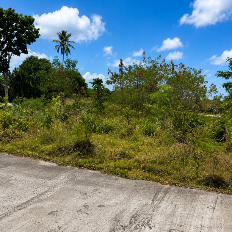 Sea View Land for Sale in La Fargue Choiseul Saint Lucia | 5,288 Sq Ft