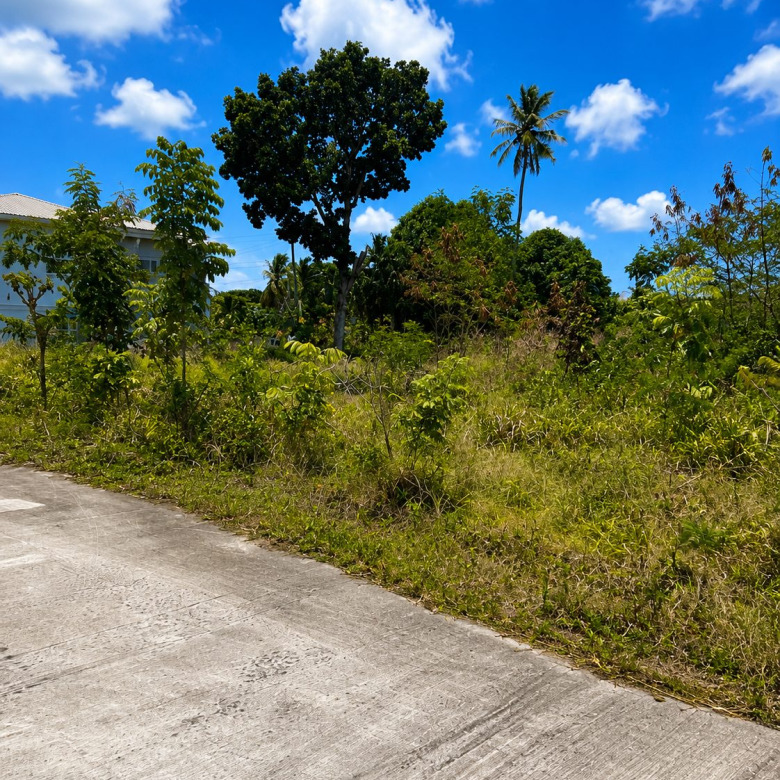 Sea View Land for Sale in La Fargue Choiseul Saint Lucia | 5,288 Sq Ft