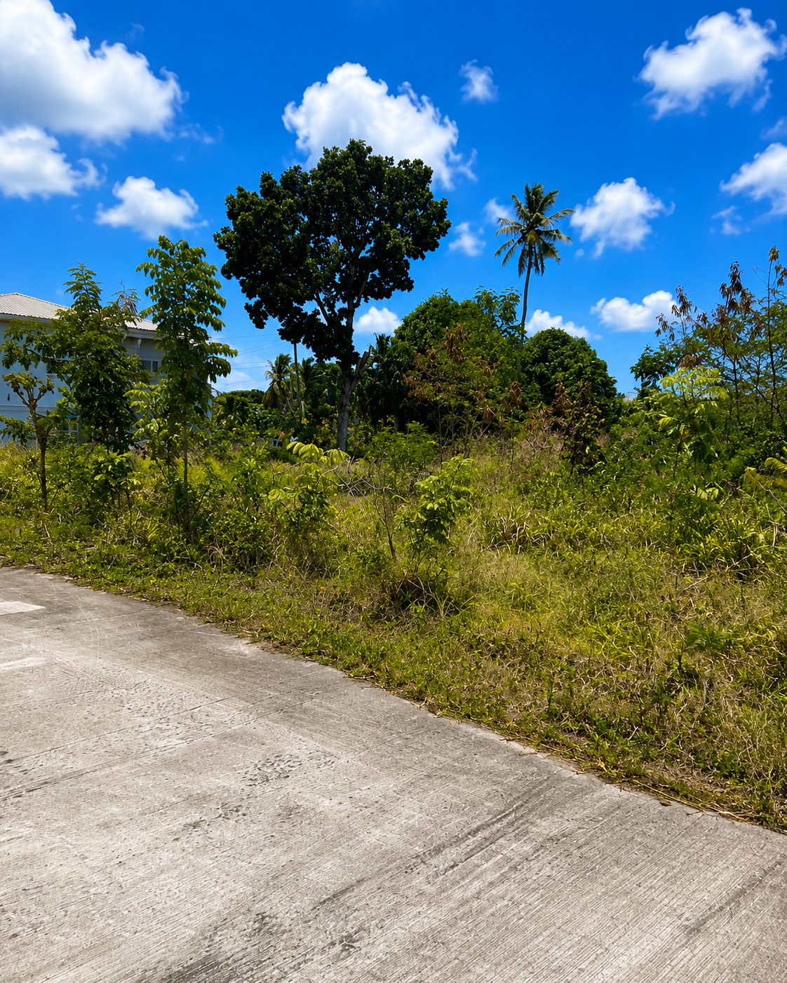 Sea View Land for Sale in La Fargue Choiseul Saint Lucia | 5,288 Sq Ft
