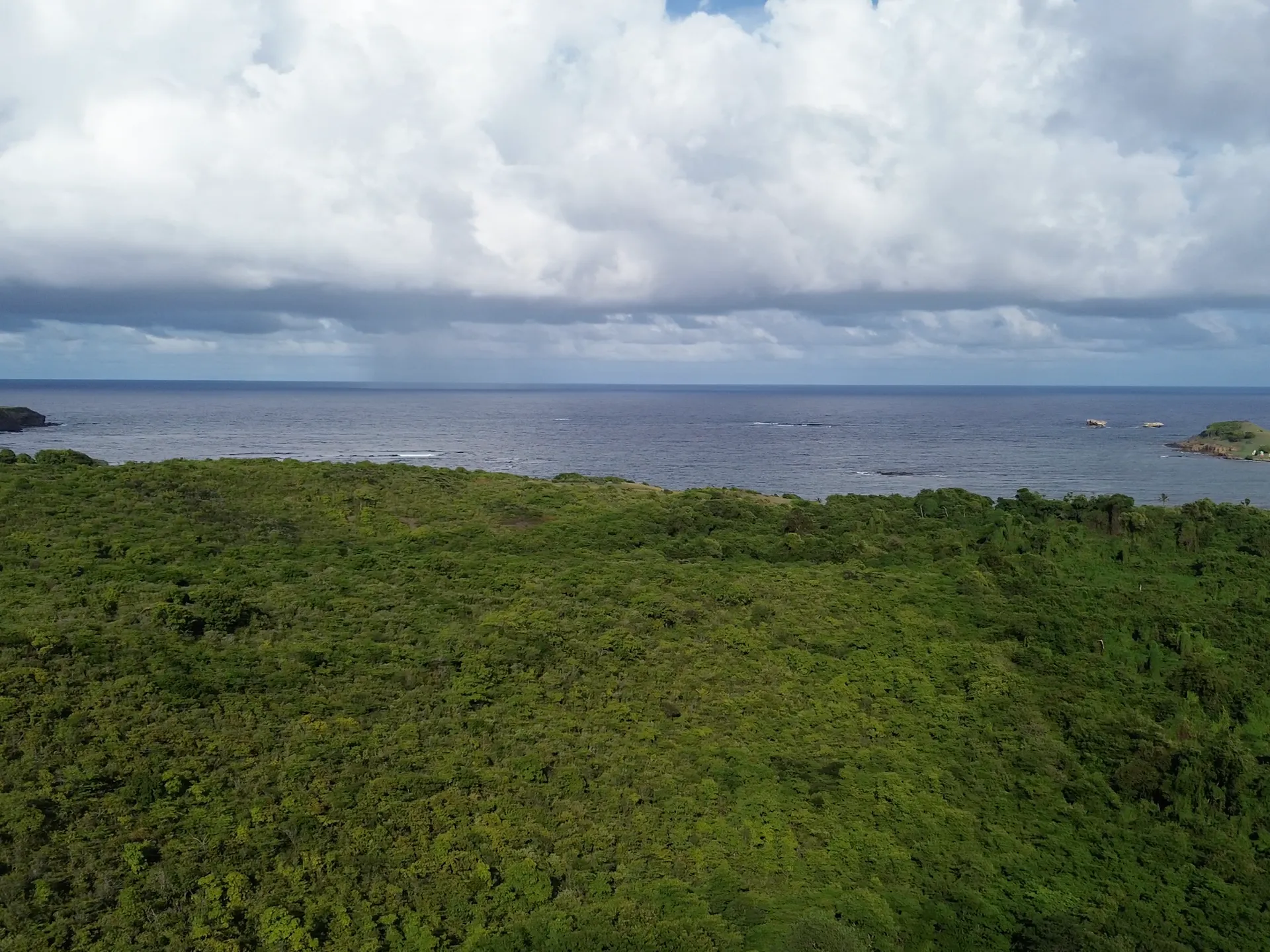 19.31 Acres Land for Sale in Beausejour