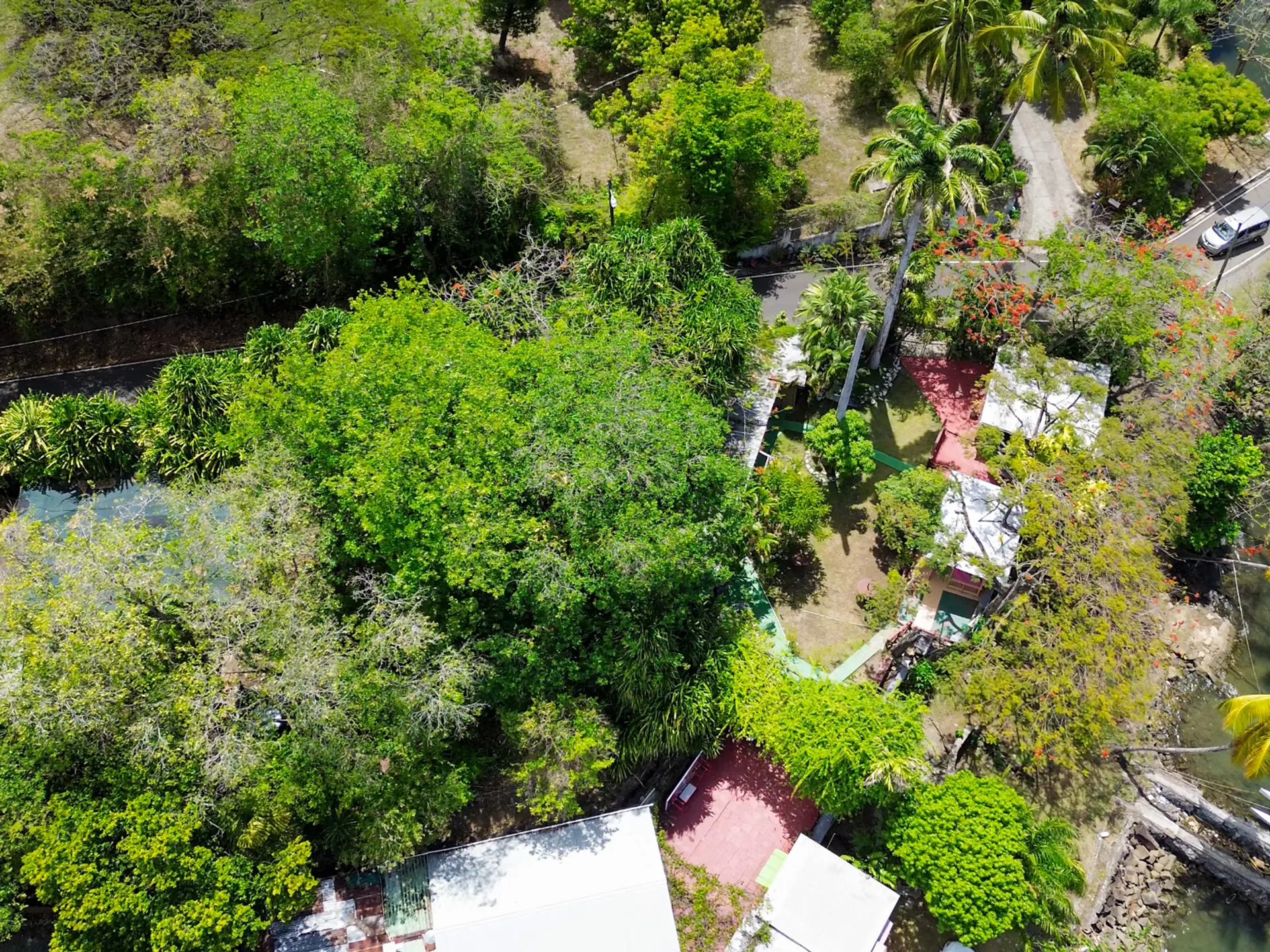vigie land for salett Ganter’s Bay Waterfront Commercial Property for Sale |