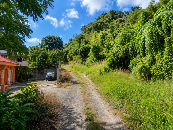 Land for sale white rock corinth