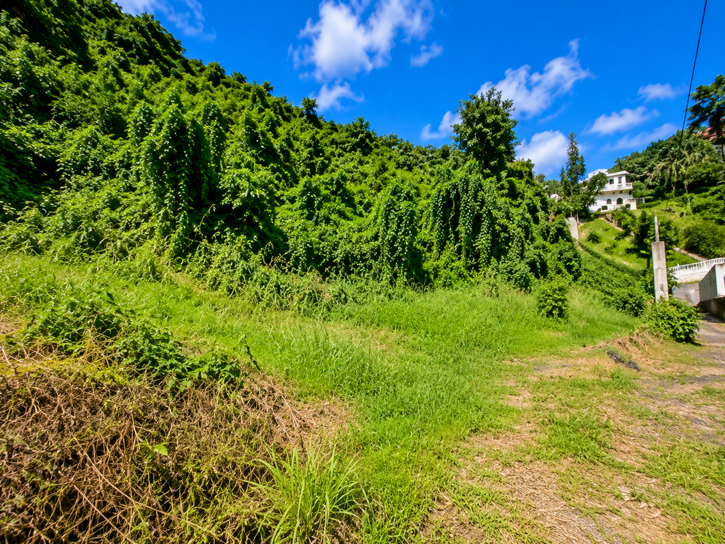 Land for sale corinth1 Land for sale corinth whiterock