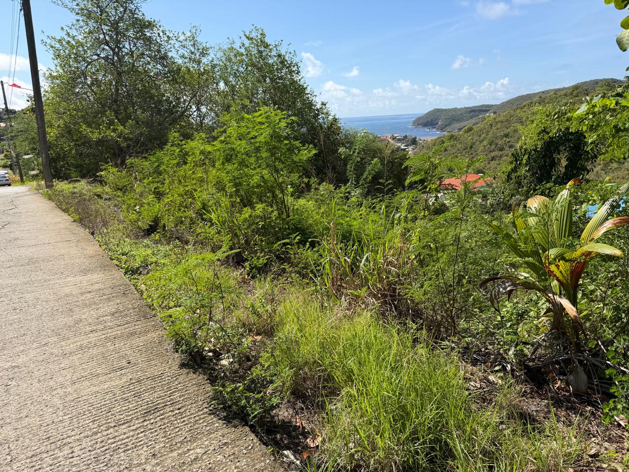 WhatsApp Image 2026-08-01 at 9.20.42 AM (1) land for sale Bois Joile Dennery