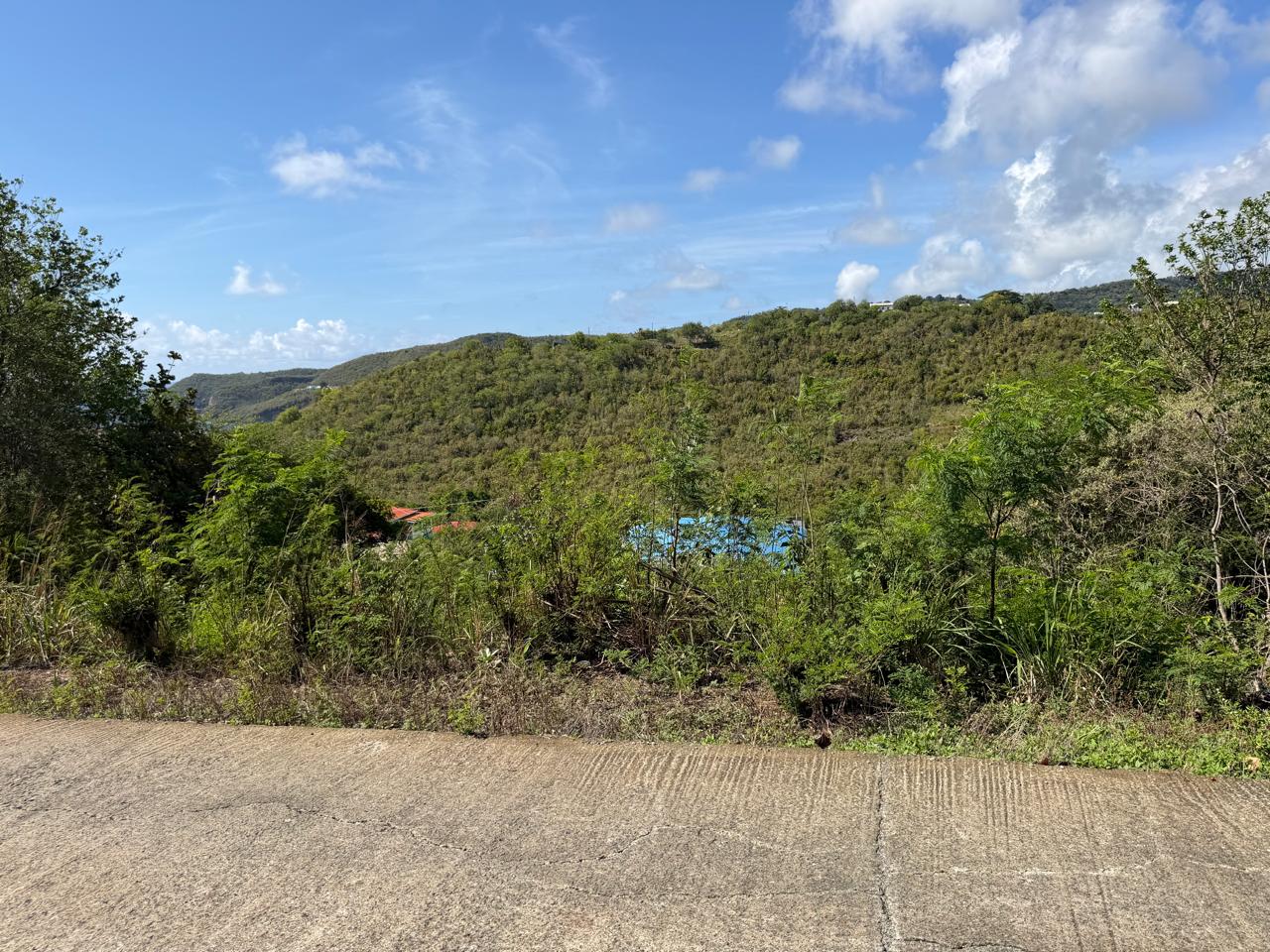 WhatsApp Image 2026-08-01 at 9.20.42 AM (2) Land for Sale in Bois Jolie, Dennery | 10,838 Sq. Ft.