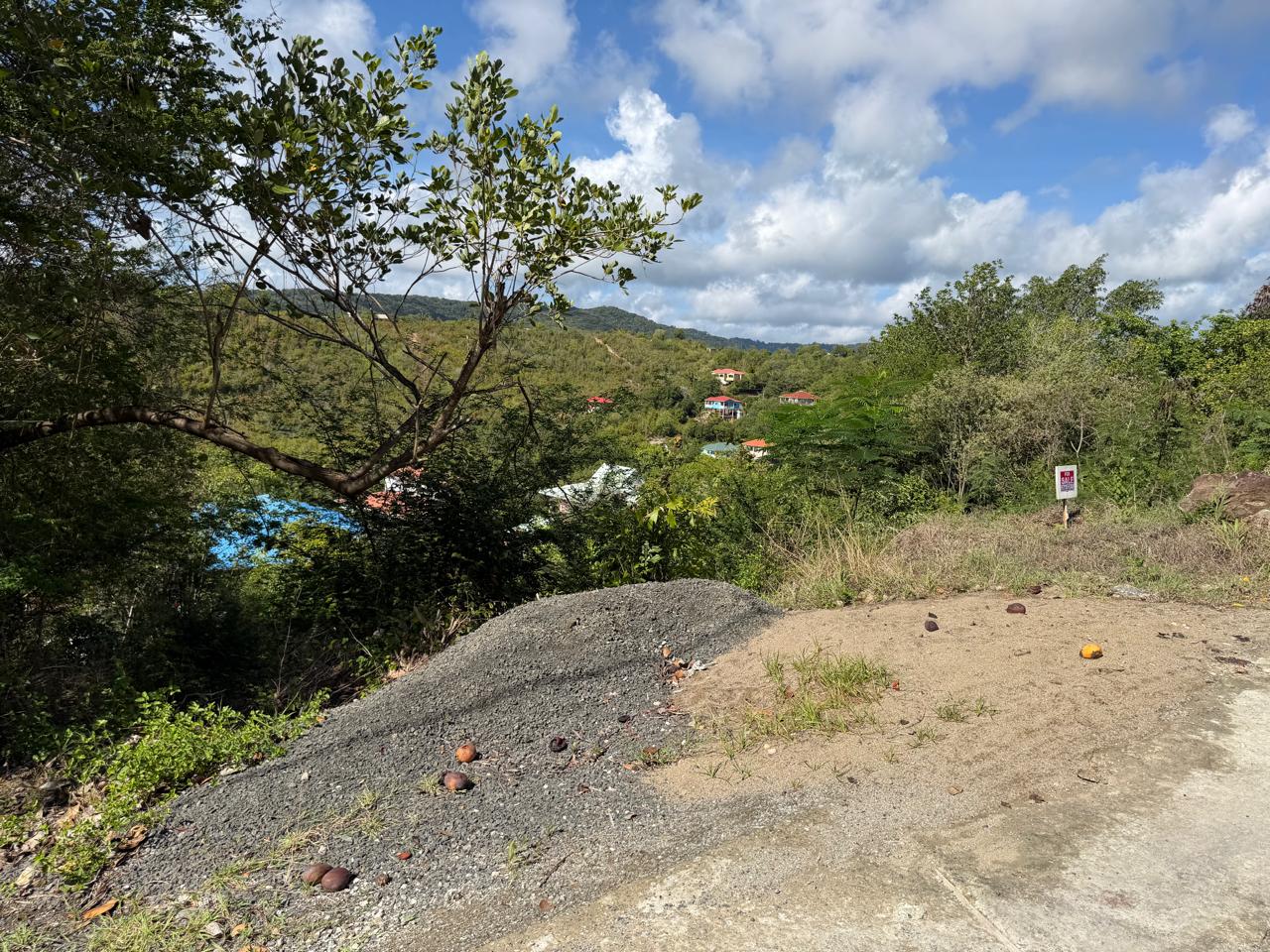 WhatsApp Image 2026-08-01 at 9.20.42 AM (3) Land for Sale in Bois Jolie, Dennery | 10,838 Sq. Ft.