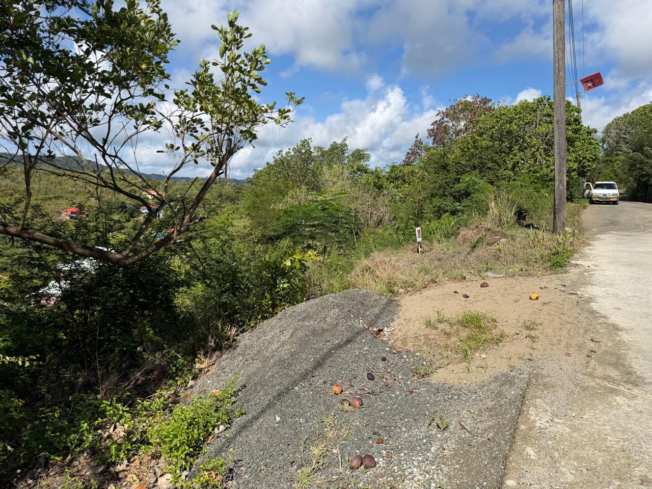 WhatsApp Image 2026-08-01 at 9.20.42 AM (4) Land for Sale in Bois Jolie, Dennery | 10,838 Sq. Ft.