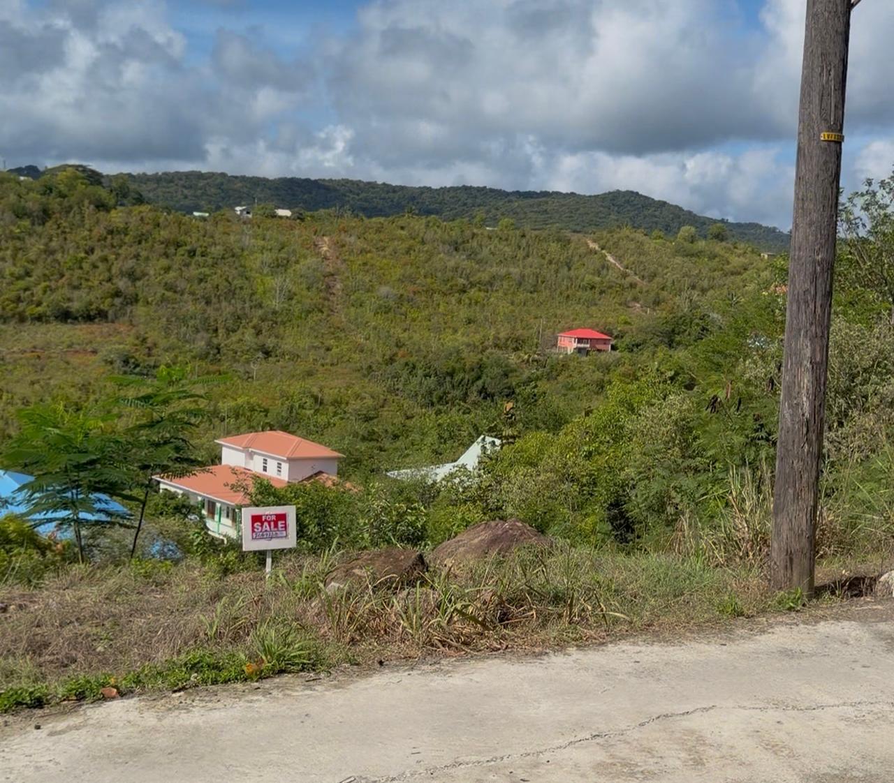 WhatsApp Image 2026-08-01 at 9.20.42 AM (5) Land for Sale in Bois Jolie, Dennery | 10,838 Sq. Ft.