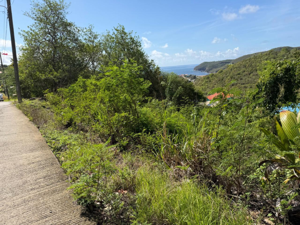 Land for Sale in Bois Jolie, Dennery Saint Lucia Caribbean | 10,838 Sq. Ft.
