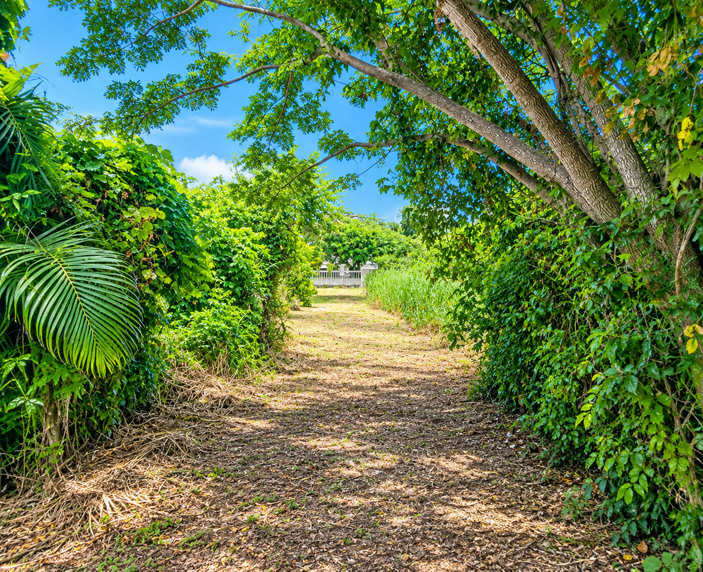Bonneterre1 Land For Sale in Bonneterre Gros Islet