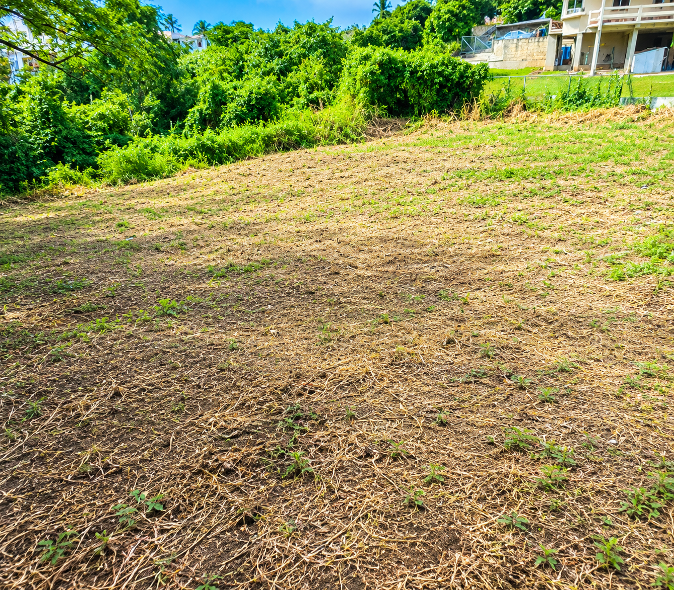 Bonneterre12 Land For Sale in Bonneterre Gros Islet