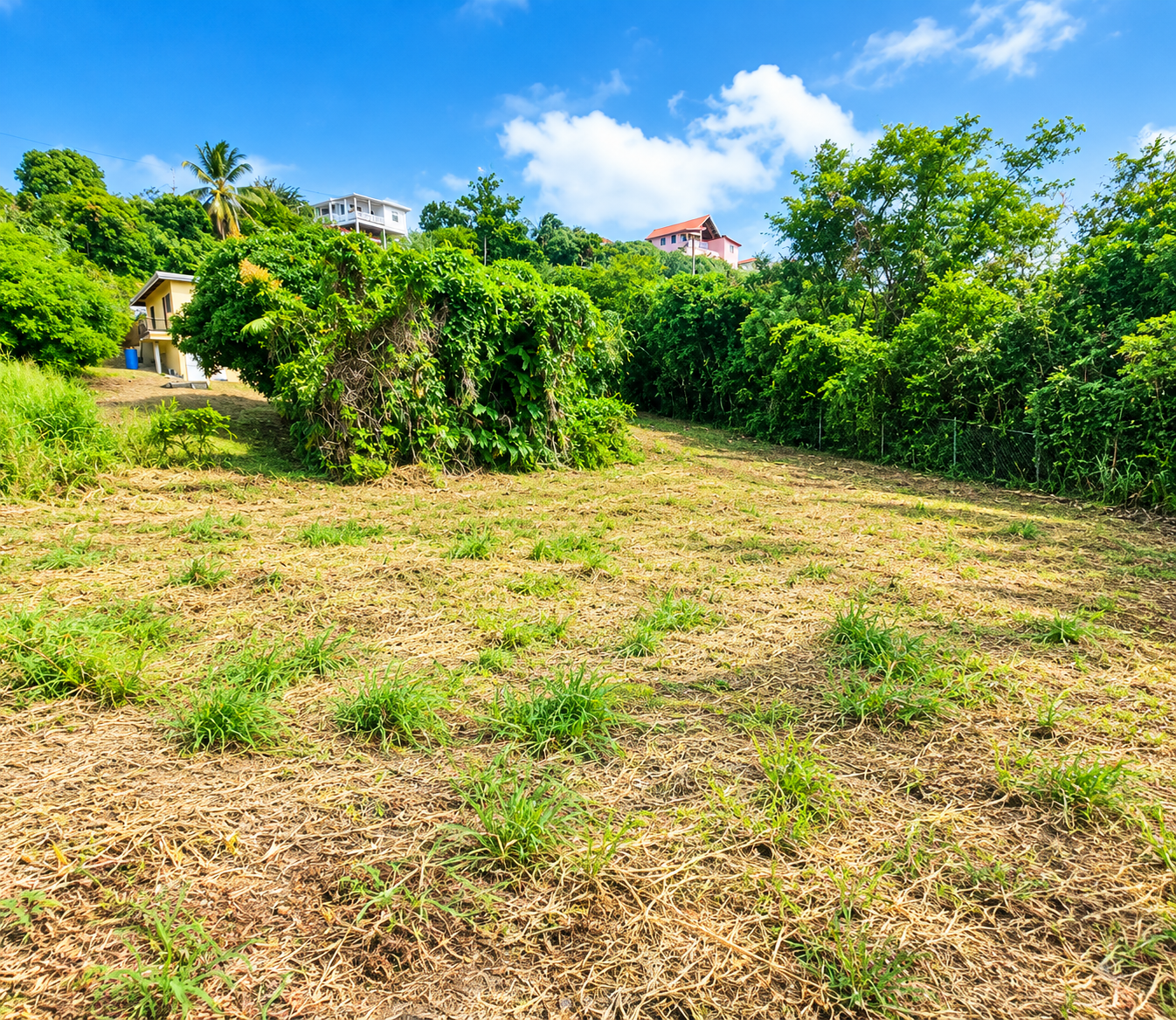 Bonneterre13 Land For Sale in Bonneterre Gros Islet