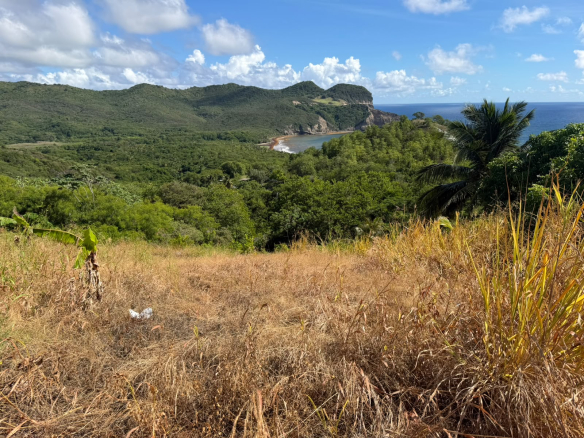 land for sale in bois jolie st lucia